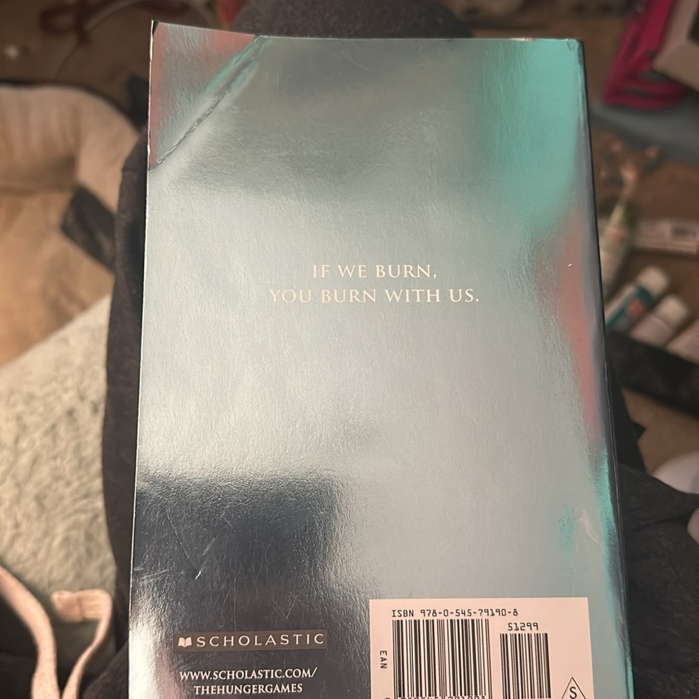 Mockingjay - Picture 2 of 3